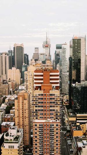 seo综合工具截图1