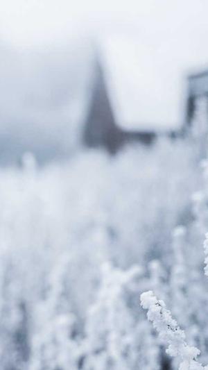 泛目录出租有什么用截图1