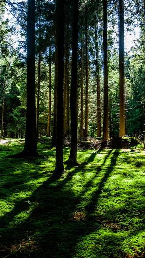 营销网站建设截图3