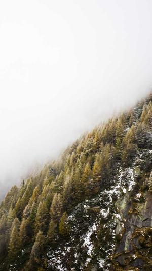 站长工具seo808截图1