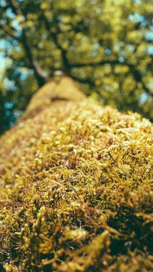 蜘蛛池原理知乎截图5