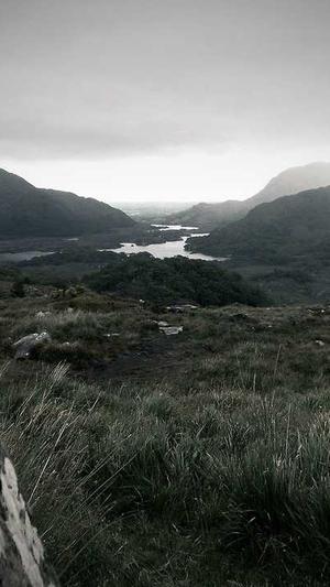 蜘蛛池搭建软件截图4