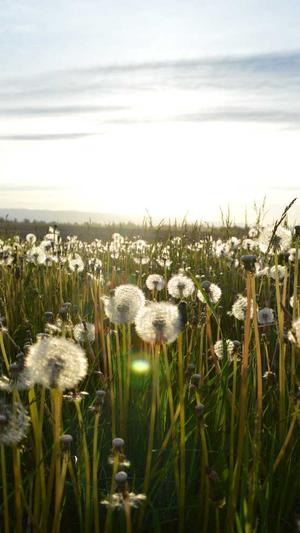上海移动网站建设截图4