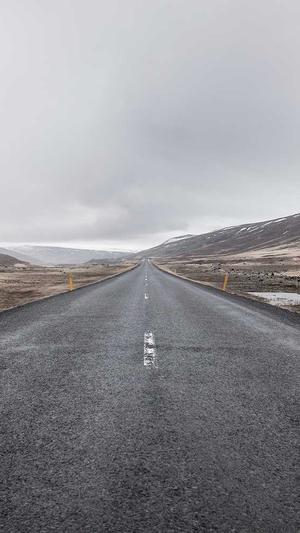 最新泛目录程序截图2