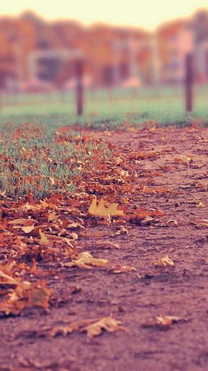 重庆网页优化seo截图2