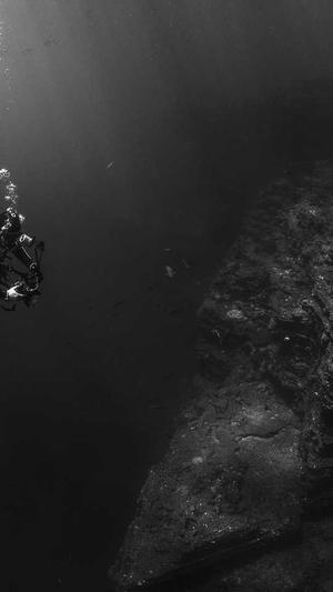 阿里蜘蛛池 被k截图3