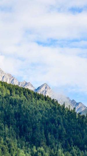 SEO优化技术截图3