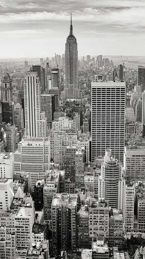 西安seo优化工具截图4