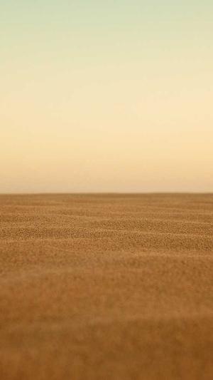 蜘蛛池 Seo的秘密截图2