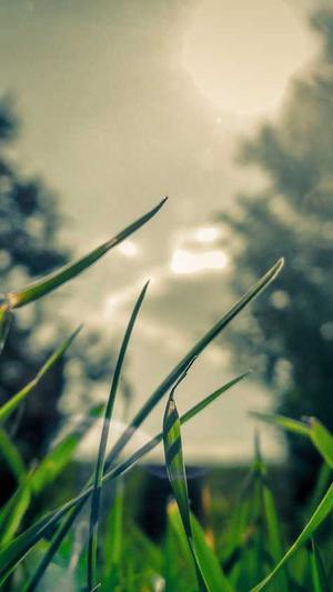 seo站长工具app运营截图3