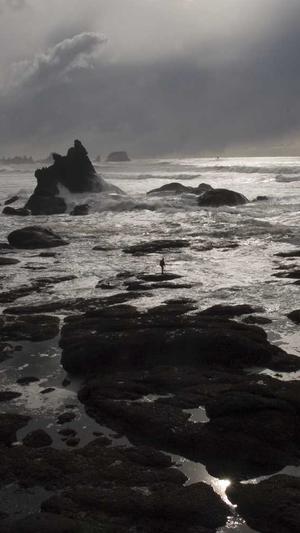 泛目录如何爆收录截图2