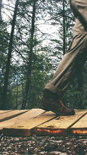 网站查询工具seo截图2