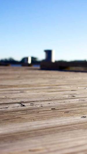 蜘蛛池 Seo的秘密截图1