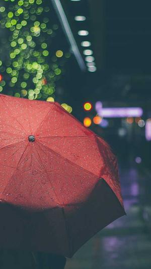 SEO工具优化软件截图1