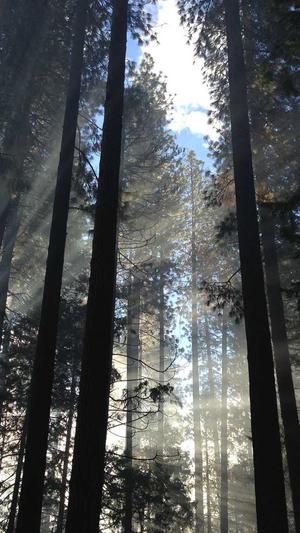 seo优化课程截图2