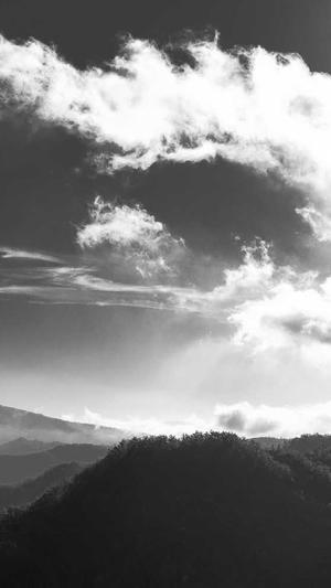 seo专用辅助工具截图1