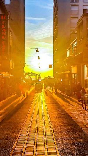 SEO工具优化软件截图5