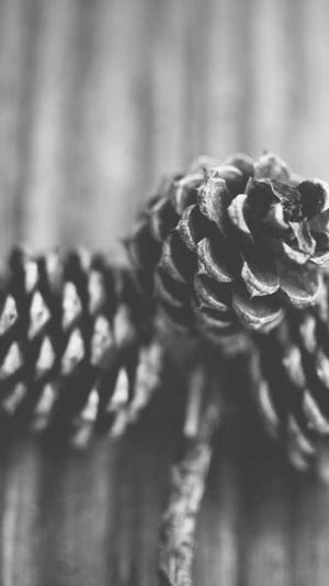 seo点击工具讨论易速达截图5