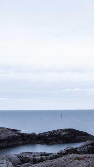 seo综合工具截图3