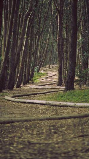 搜狗蜘蛛池程序怎么关截图2