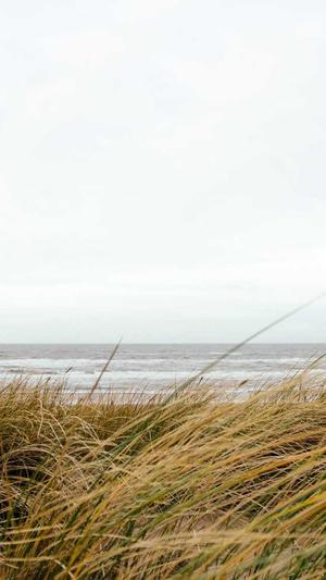 政府网站建设截图4