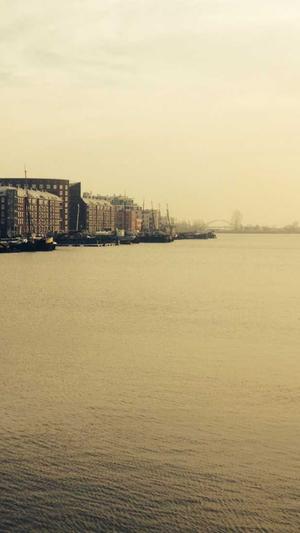 菠菜泛目录截图2