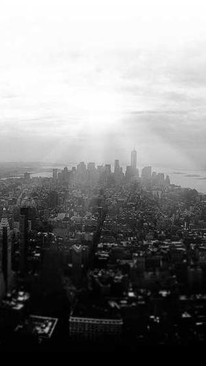 seo查询 站长工具截图1