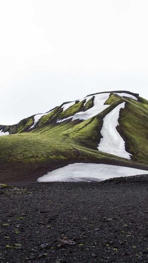 求网站建设截图2