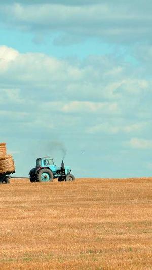 seo外链生成工具网站截图3