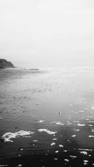 seo站长工具app 代发截图1