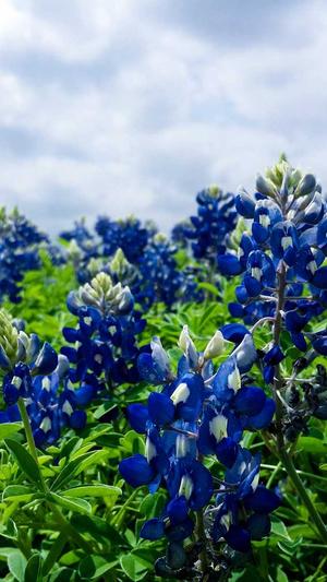 手机网站建设截图2