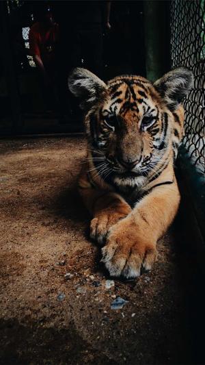 网站建设基础知识截图2