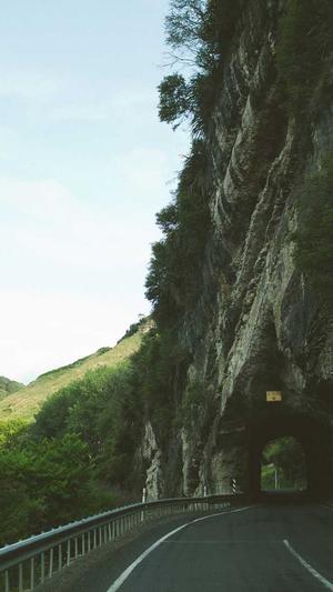 陕西蜘蛛池出租平台截图3