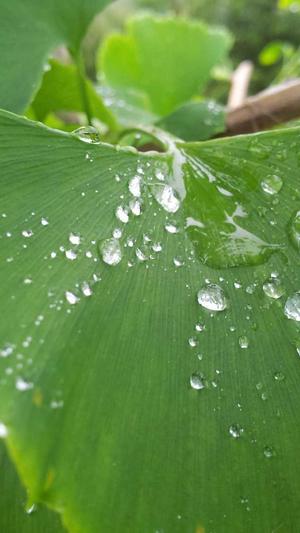 常规seo工具截图3