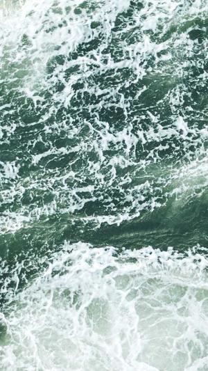 seo站长工具app运营截图4