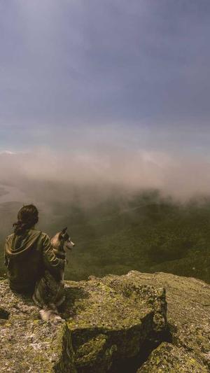 西安seo优化工具截图2