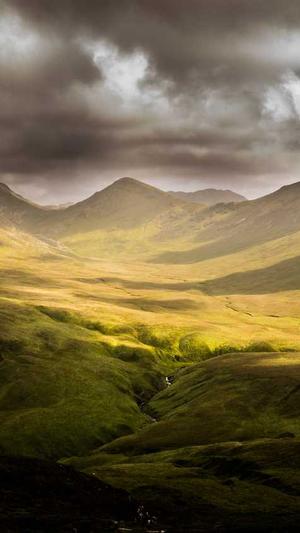 蜘蛛池和快排截图2