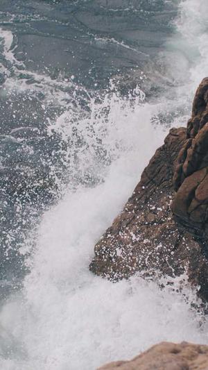 seo免费优化截图2