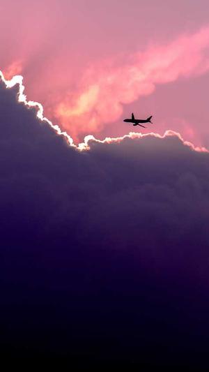 泛目录网站有什么用截图3