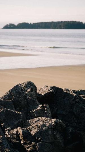 政府网站建设截图2