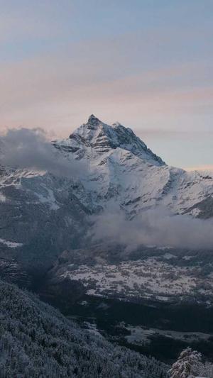 网站seo收录工具截图3