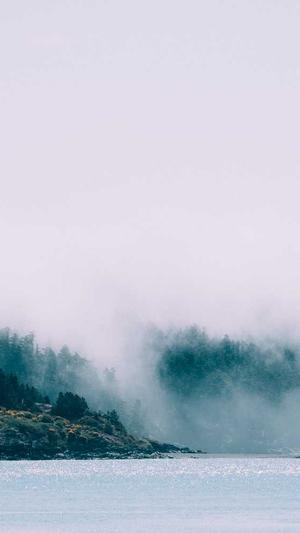 上海网站建设怎么弄截图3