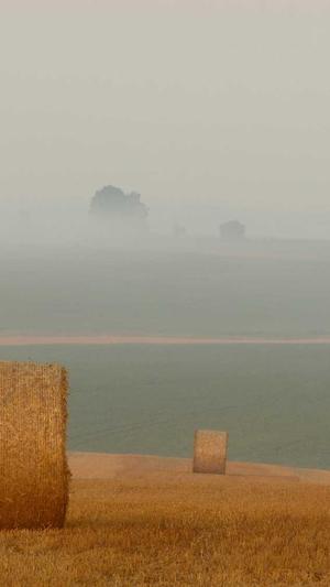 seo诊断工具截图3