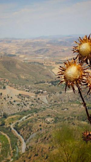 seo优化比较好的网站截图4