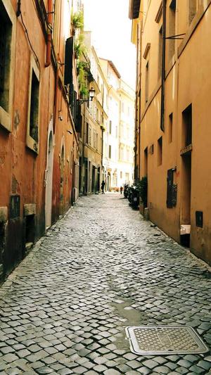 网站制作建设截图3