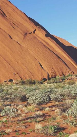 seo免费优化截图4