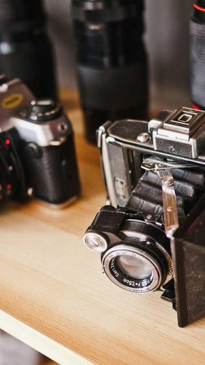 泛目录的趋势截图2