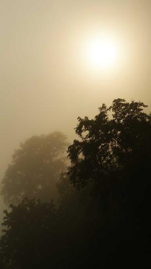 蜘蛛池使用教程图解截图2