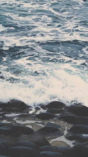 泛目录的趋势截图3