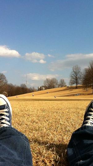 蜘蛛池泛站群源码截图5